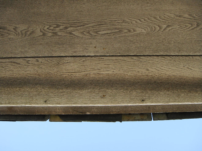 INSIDE LYCH GATE ROOF