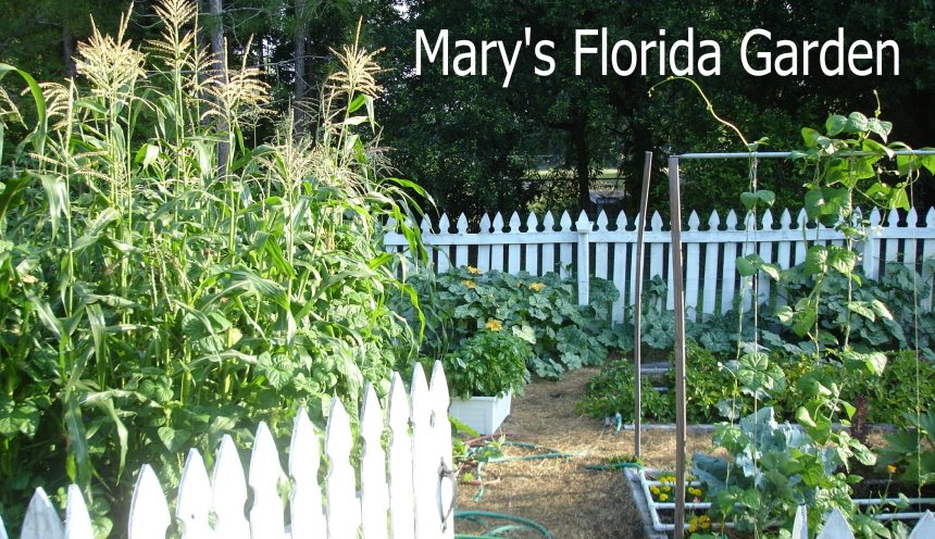 Mary\