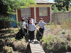 CAMPAÑA ECOLOGICA