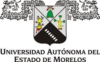 Uaem Logo