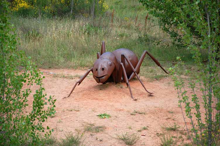 Tentativi Digitali Formica Gigante