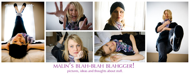 Malin's blah-blah-blahgger