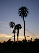 Amanece en el Parque....