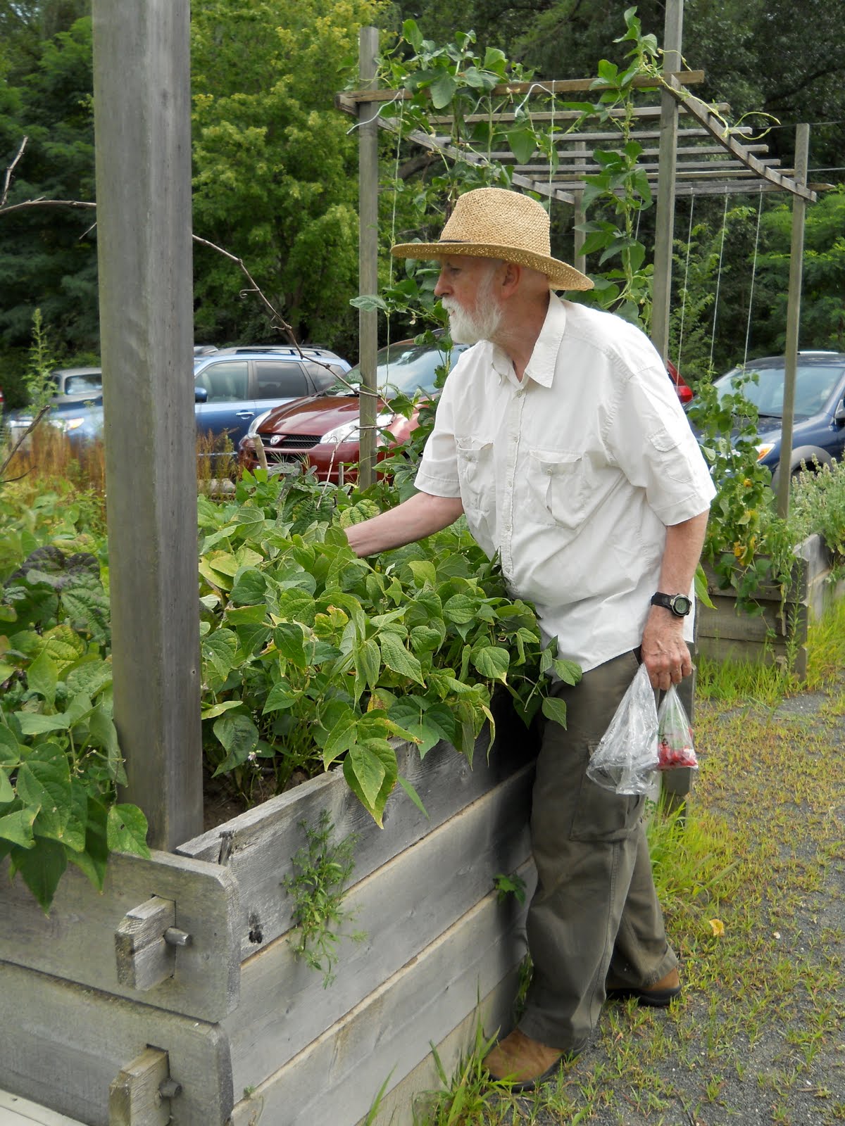 Accessible Gardens for All: COMPONENTS OF ACCESSIBLE GARDENS