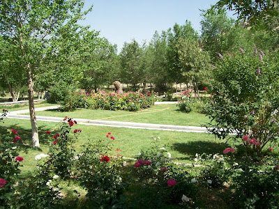 The Sergeant Major Babur S Garden