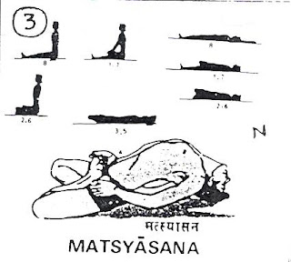Images Of Matsyasana