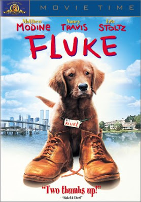 Download filme Lembranças de Outra Vida Baixar Lembranças de Outra Vida Dublado Legendado