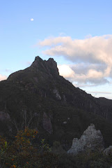 The Pinnacles