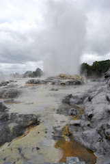 Pohutu Geyser at Te Puia