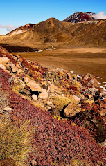 Lavaflow in Tongariro central crater