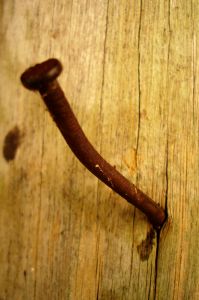 [manchas_madera.JPG]