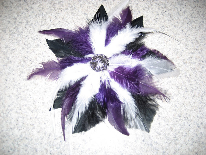 Elegant Purple and Black Feather Clip