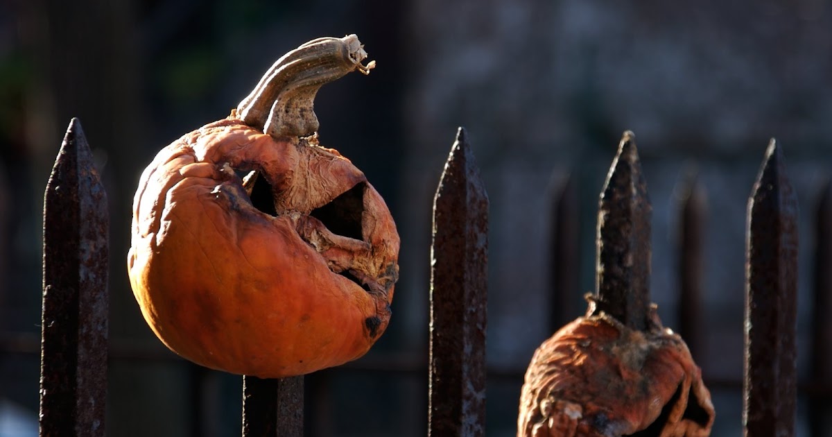 PUMPKINROT.COM: The Blog: Fence Pumpkins