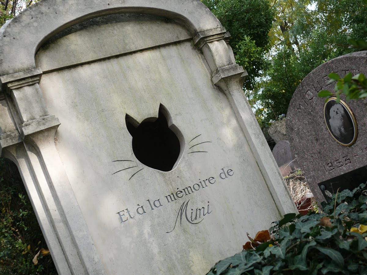 The Blog Pet Cemetery