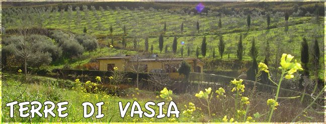 TERRE DI VASIA