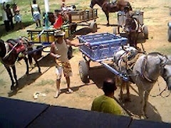 CORRIDA DE CARROÇA COM TODO O RESPEITO A LEI, PROMOVIDO POR LULU ASSUMPÇÃO.