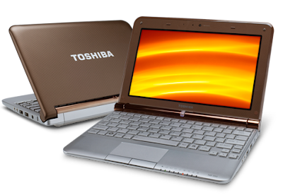 Mini Netbook  Toshiba NB305-N410BN 