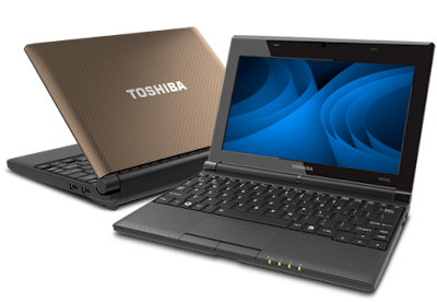 Toshiba NB550D-1001