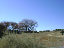 Kiva and Cottonwoods Near Axtec, New Mexico