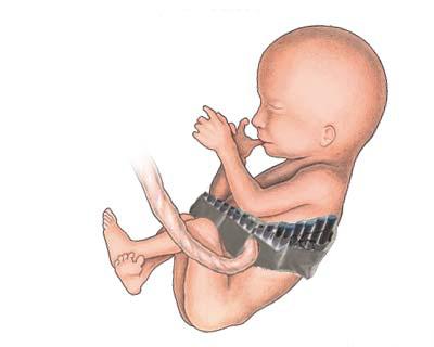 [Fetus4.jpg]