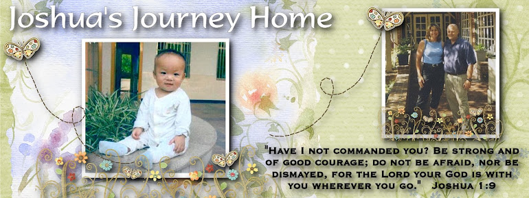 Joshua's Journey Home