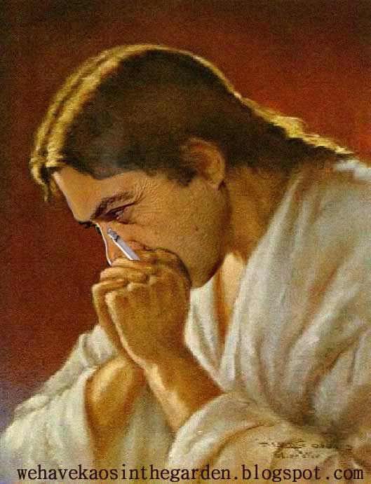 [socratesperdaolb1.jpg]