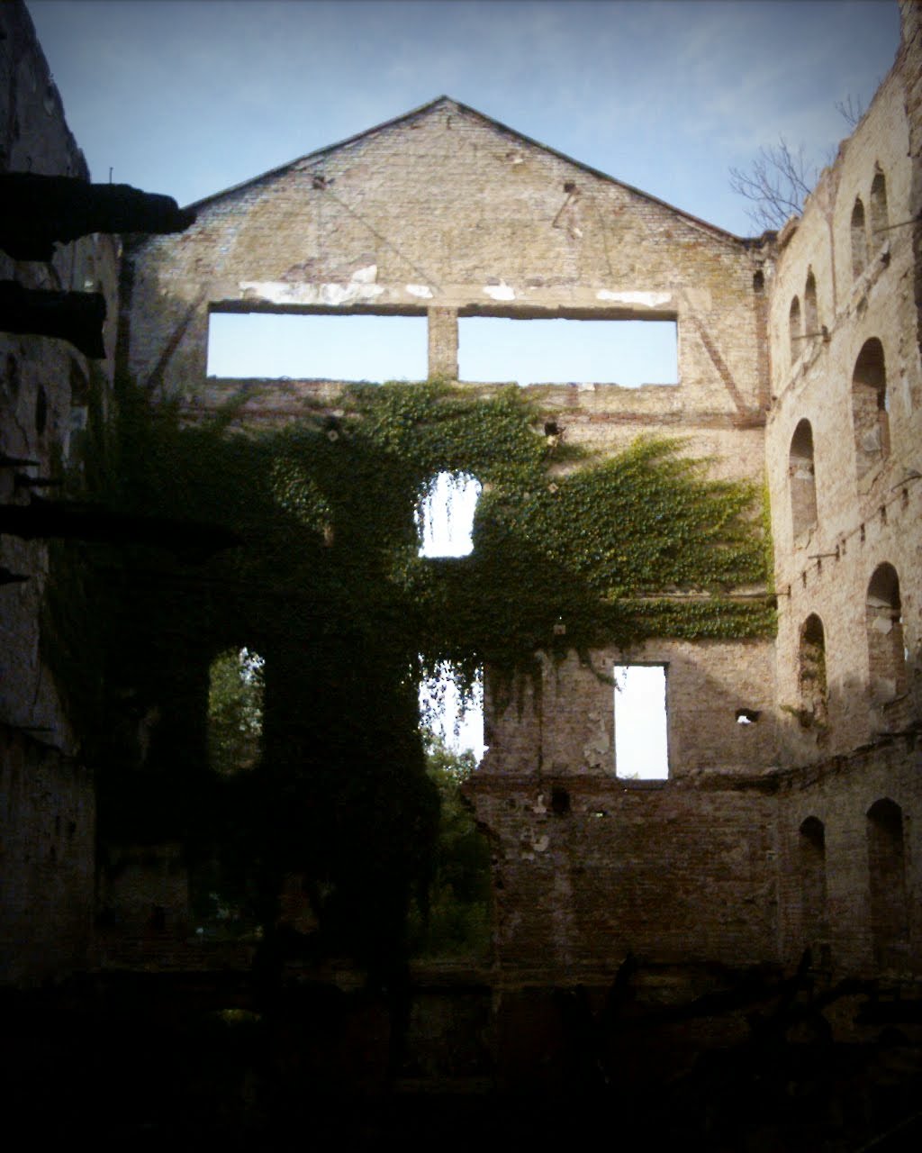 [AAAA0061.JPG]