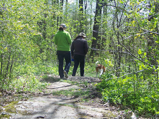 hiking at Matchedash conservation area