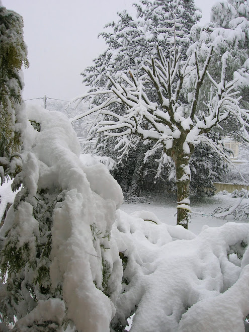 CARNOUX EN PROVENCE (prés de Marseille)
