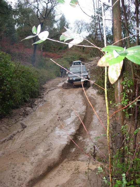 [DSCN0602.JPG]