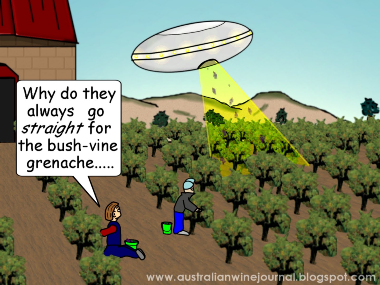 Vine Bush