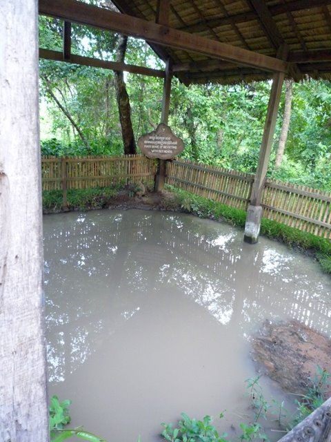 [P1000567.JPG]