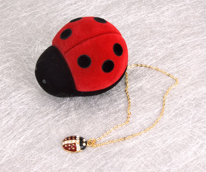 [ladybug.jpg]