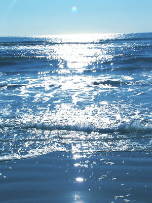 Happy World Oceans Day!