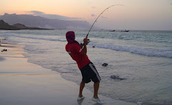 Socotra 2011 new expedition