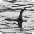 ¡Seré un dinosaurio sobreviviente pero nunca un mono!