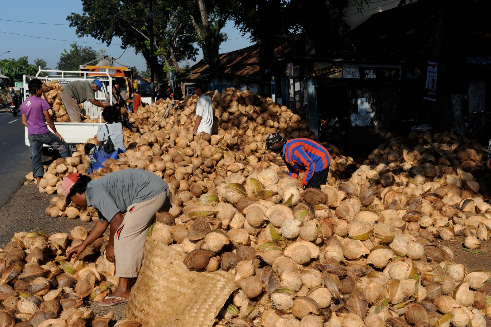 brommel Coconut Market