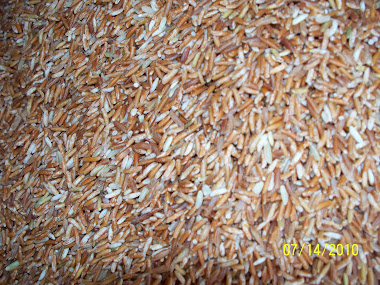 Sangyod Rice // The first GI (Geographical Indication) Rice of Thailand