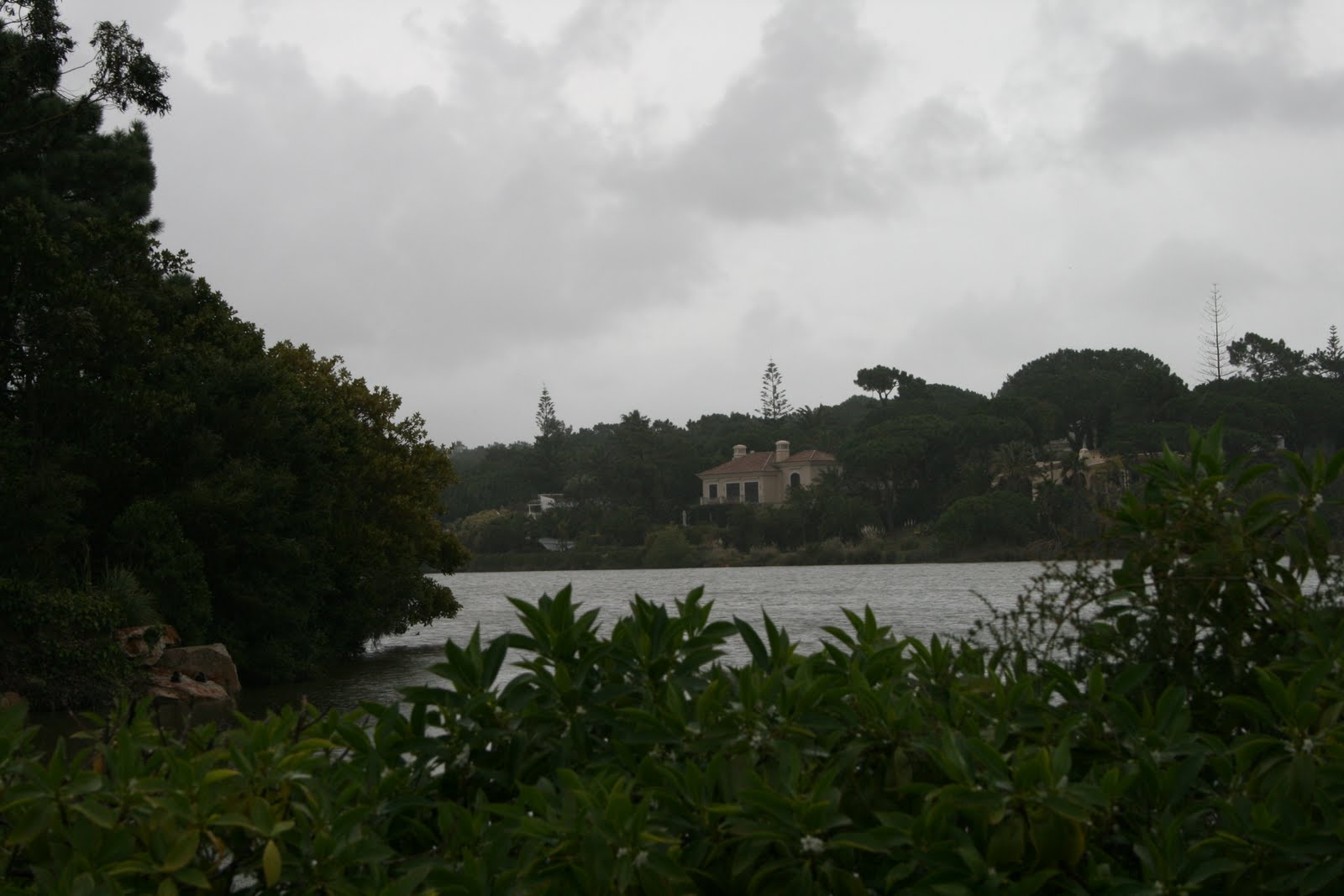 [IMG_5776.JPG]