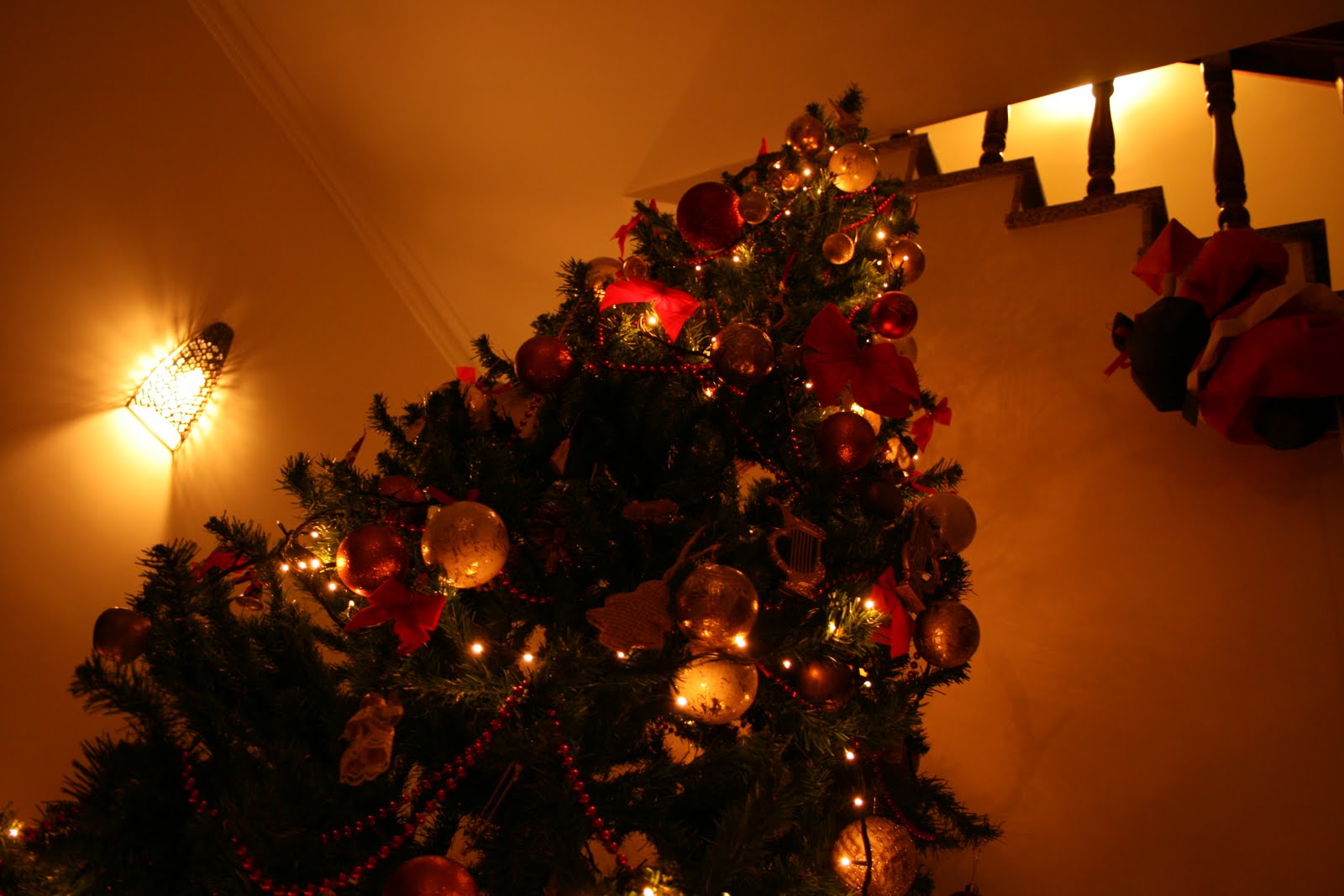 [IMG_4970.JPG]