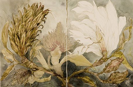 [neill_magnolia_disjuncture.jpg]