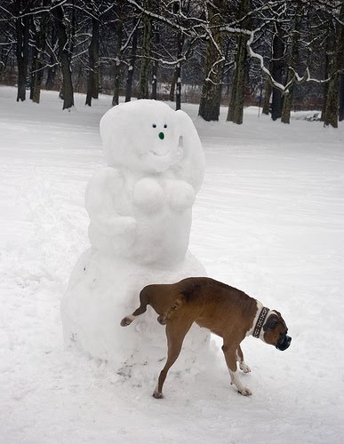 [2285386847_825f3c3a35.jpg]