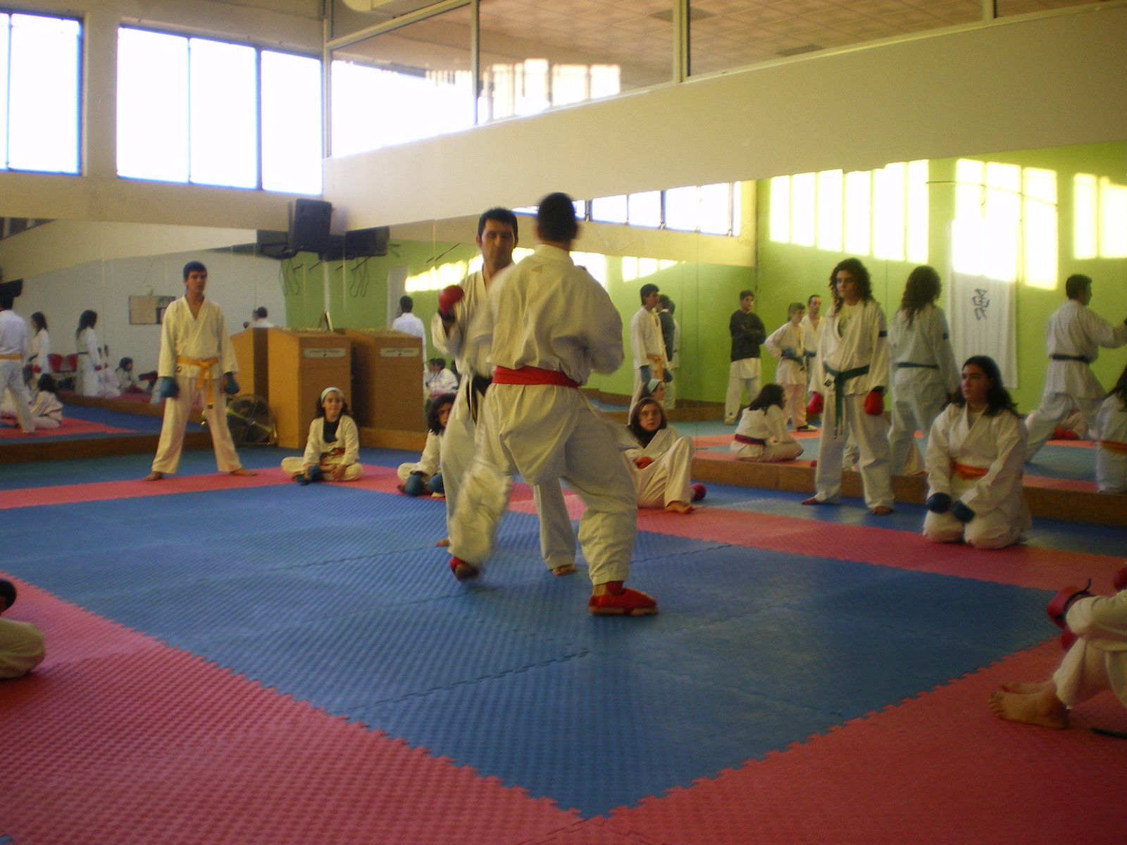 [IMGP0630.JPG]