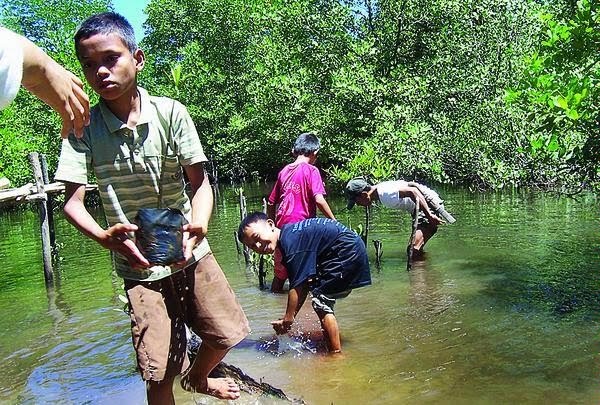 Go Green Usaha dan Cara Menjaga Kelestarian Sungai