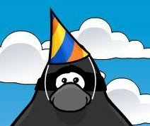 Ninja Hat
