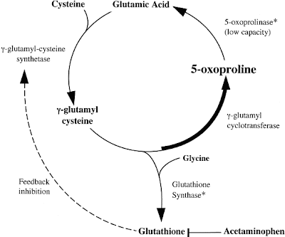 Metabolic Acidosis Graph