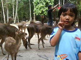 deerland,lanchang pahang