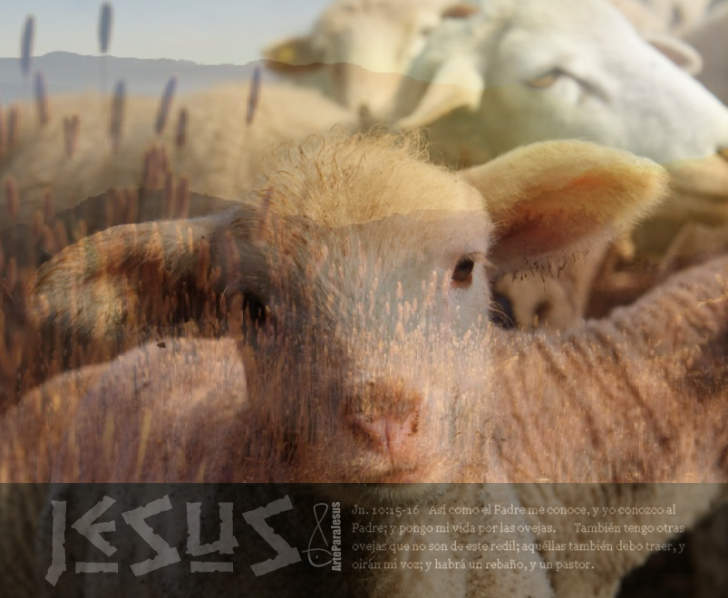 Descargar Biblia En Espanol