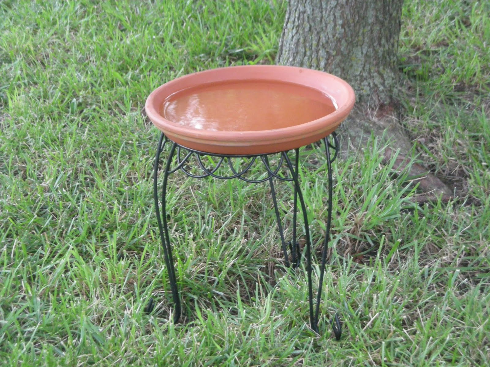 Cutting Coupons In Kc Make A Simple Bird Bath Bird Feeder