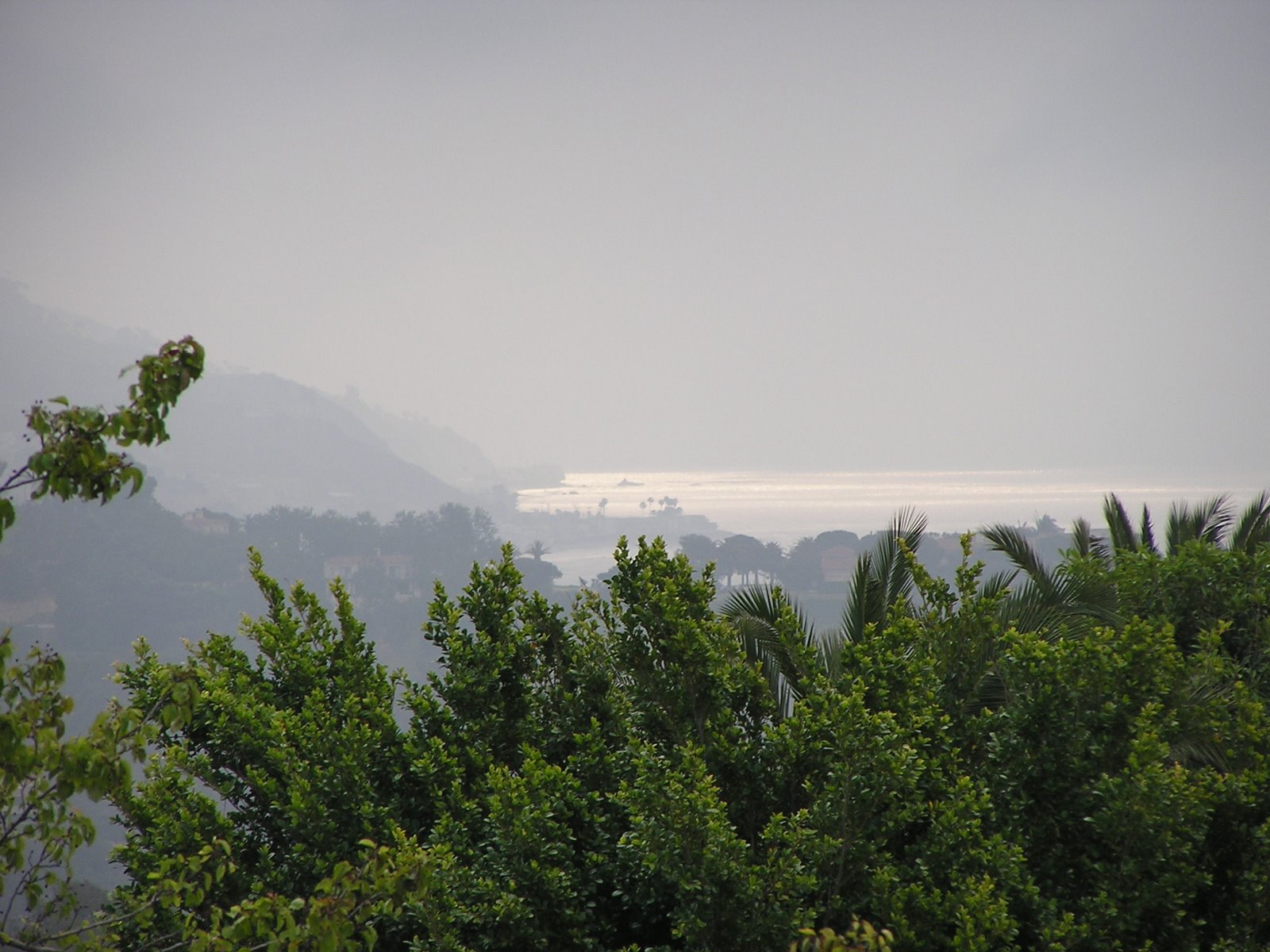 [6-5-09+052.JPG]